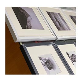 Slide Images- 12